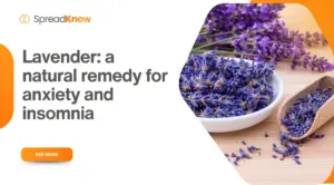 Lavender: a natural remedy for anxiety and insomnia