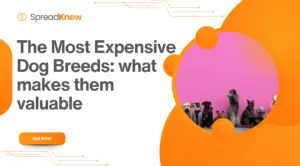 The Most Expensive Dog Breeds: what makes them valuable