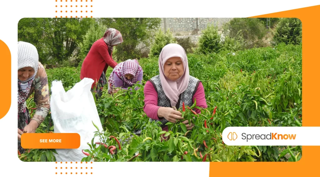 The Return of Localism Why Communities Are Taking Back Power